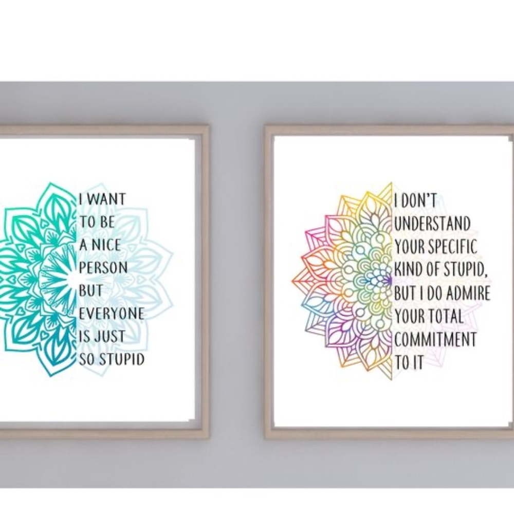 Set of 2 EVERYONE'S STUPID Mandala UNFRAMED Wall Art Prints Humor Gag Gift